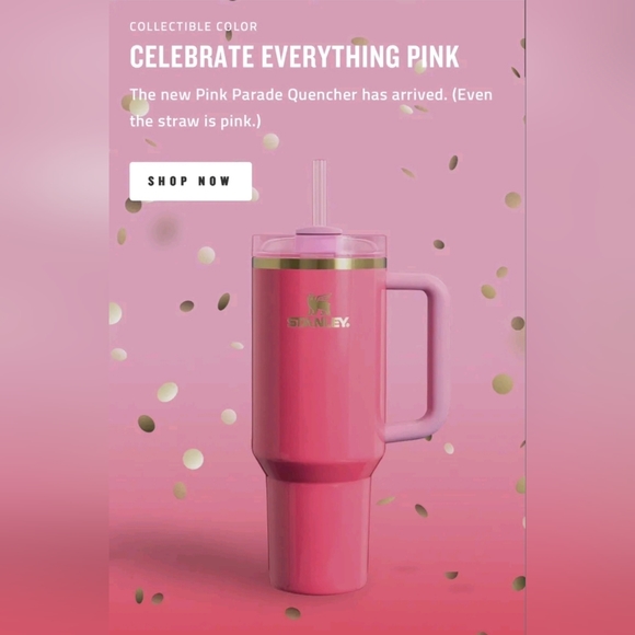 SOLD- Stanley The Quencher H2.0 Flowstate Tumbler ♥️ PINK PARADE ♥ - Picture 6 of 8